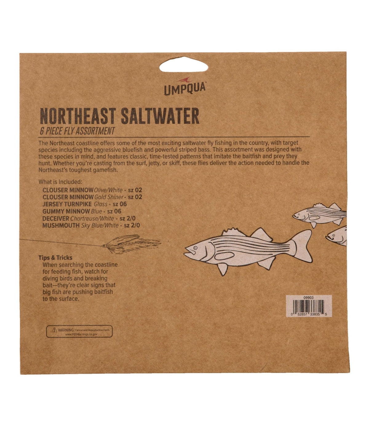 Umpqua Northeast Saltwater Fly Assortment, 6 flies