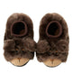 Brown Bear