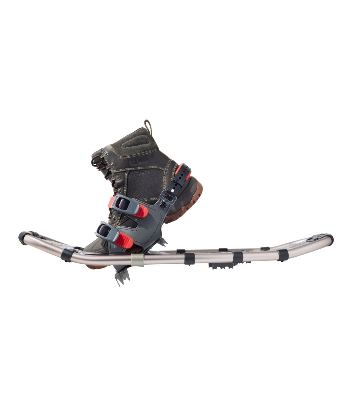Men's Winter Walker Snowshoe