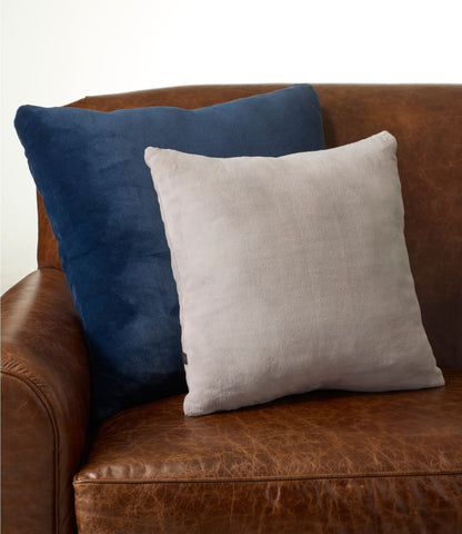 Wicked Plush Throw Pillow