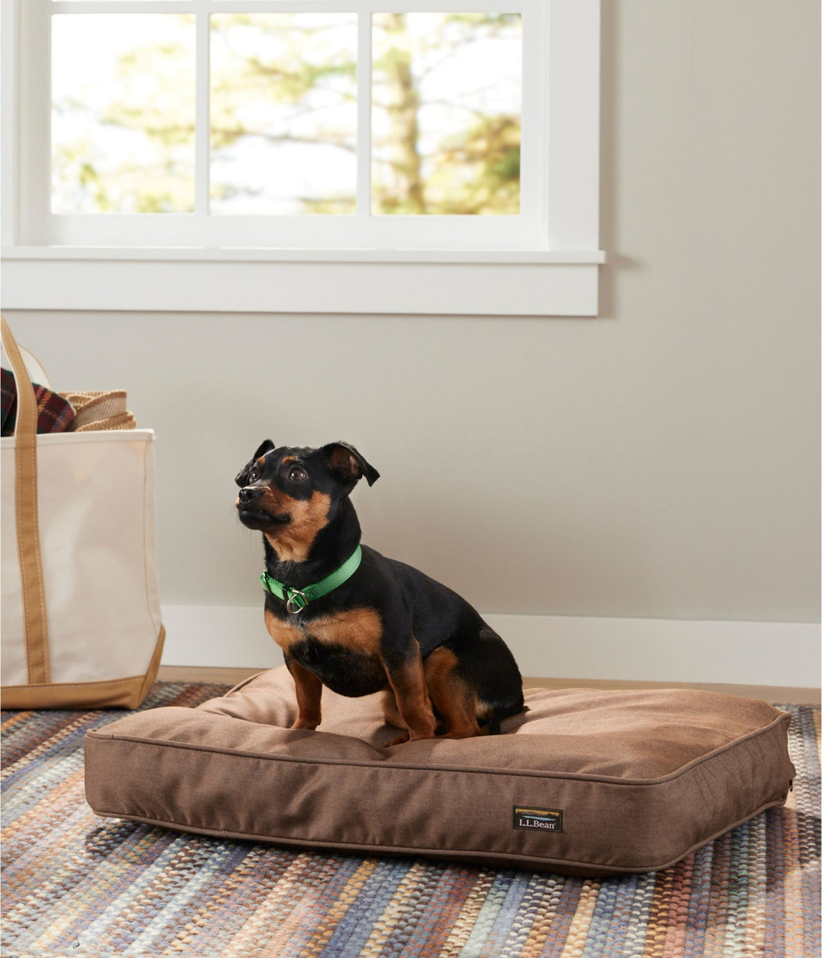 Premium Denim Dog Bed, Rectangular