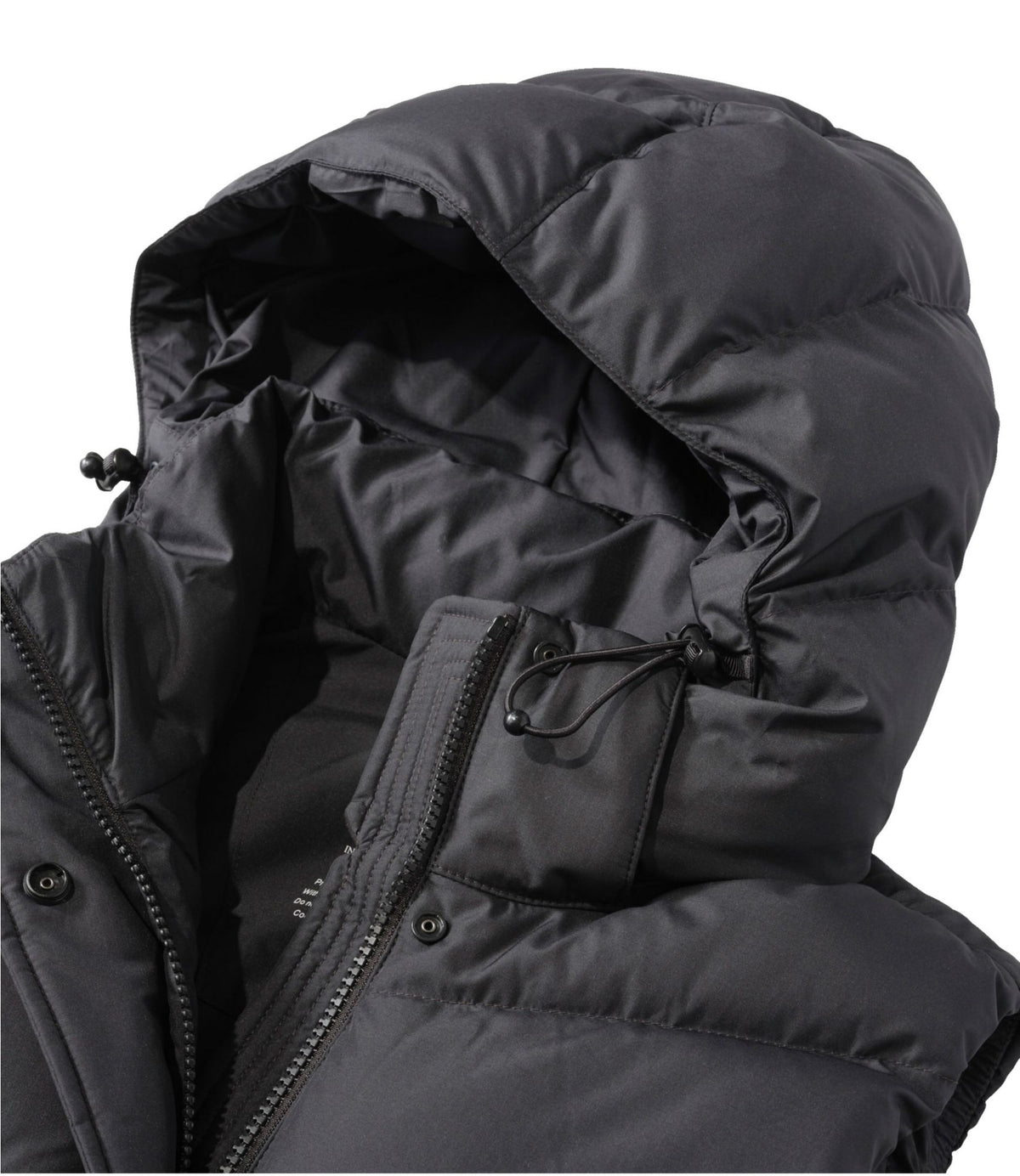Women's Popham Puffer Long Vest
