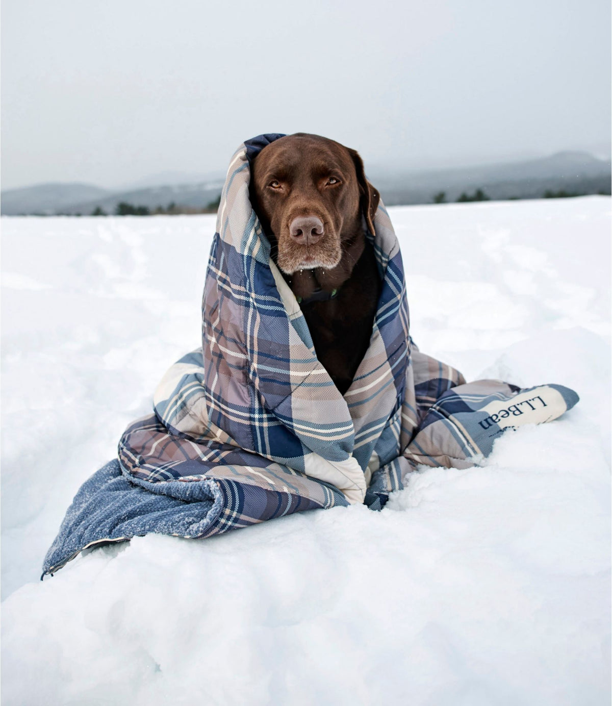 L.L.Bean Fleece Puffer Blanket