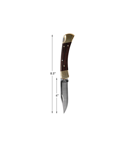 Buck 110 Folding Hunter's Knife