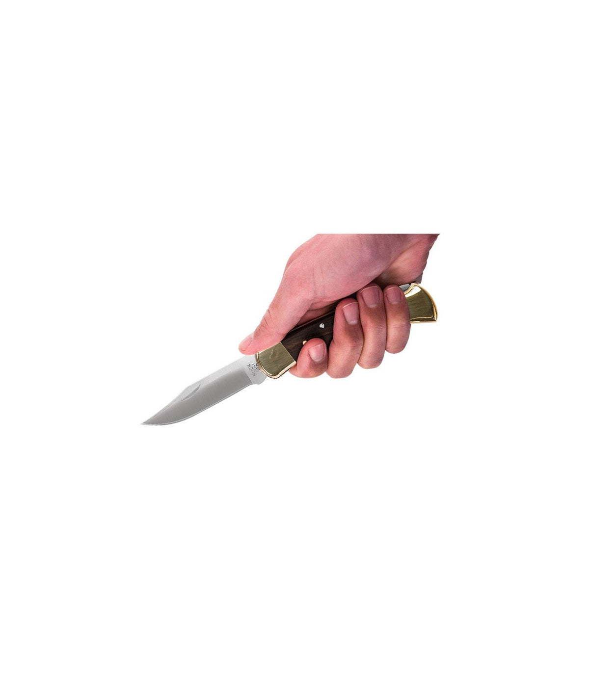 Buck 110 Folding Hunter's Knife