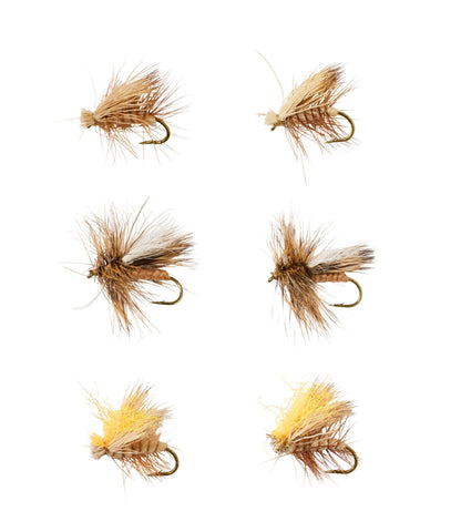 Umpqua Caddis Dry Fly Assortment, 6 flies