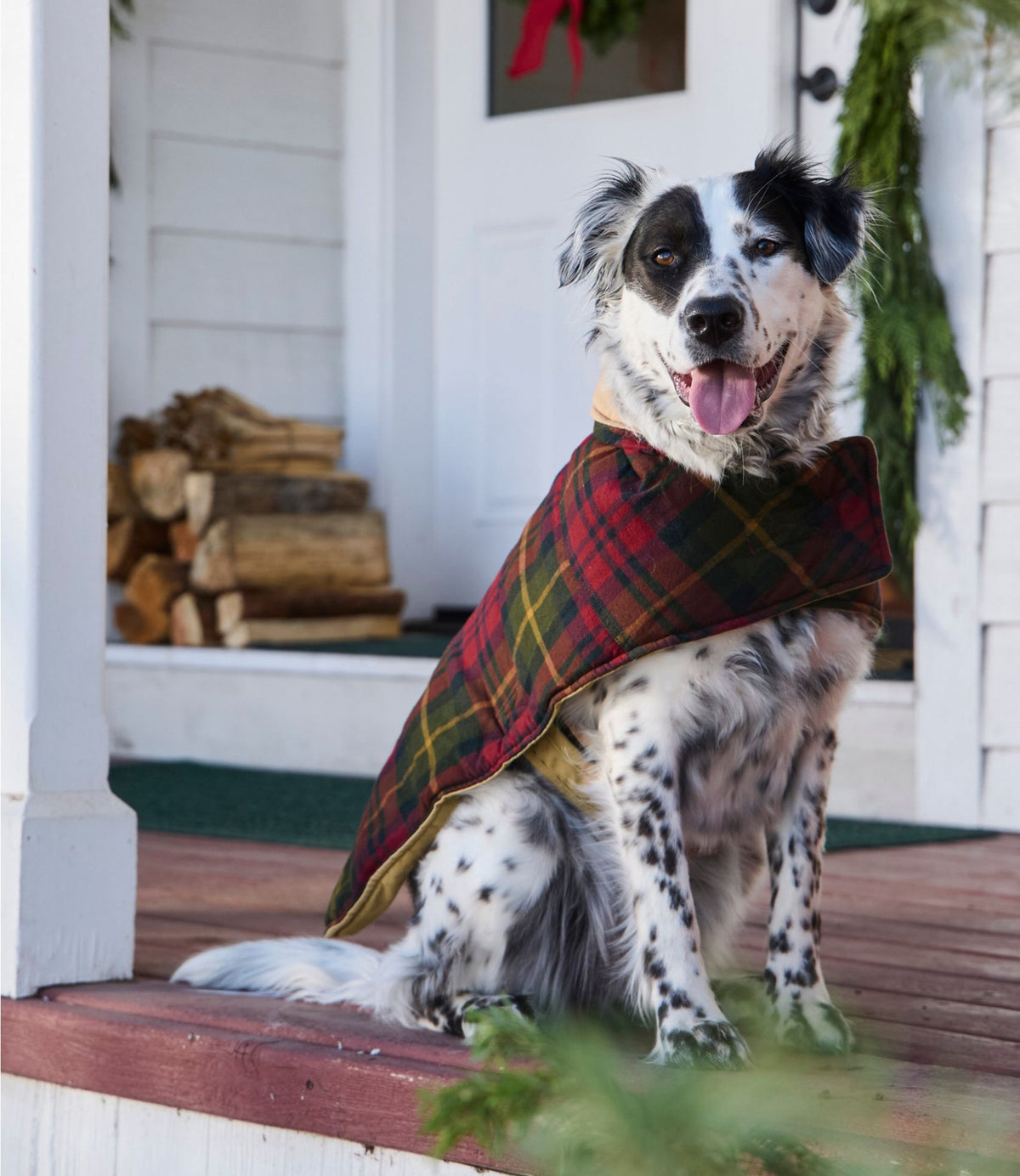 Reversible Field Coat for Dogs