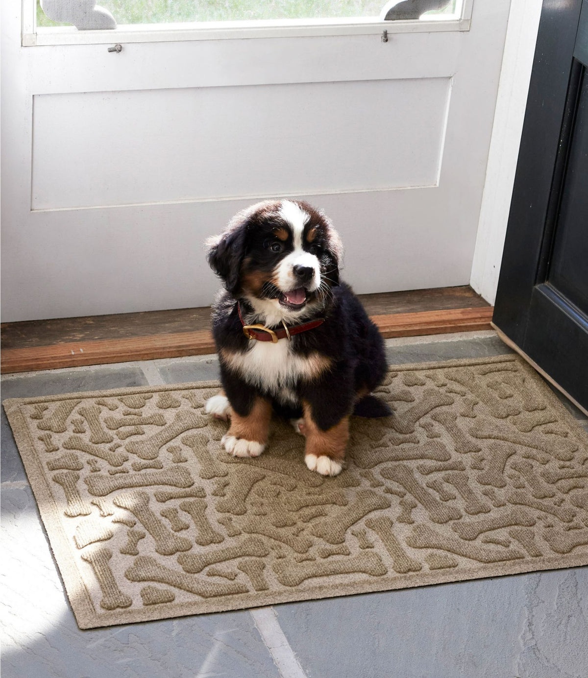 Recycled Waterhog Scattered Bones Mat